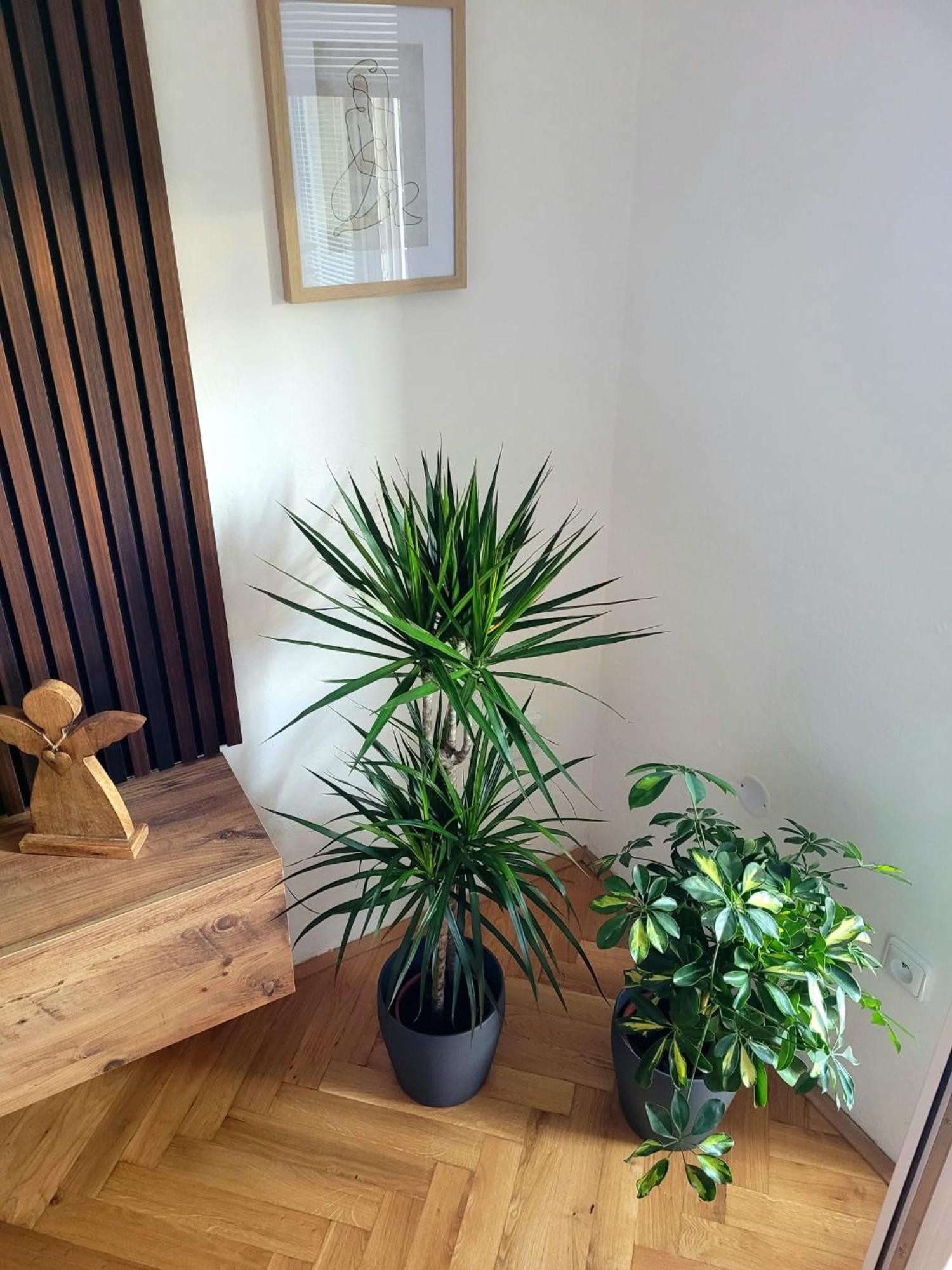 Novy Apartman Eva Jičín 外观 照片