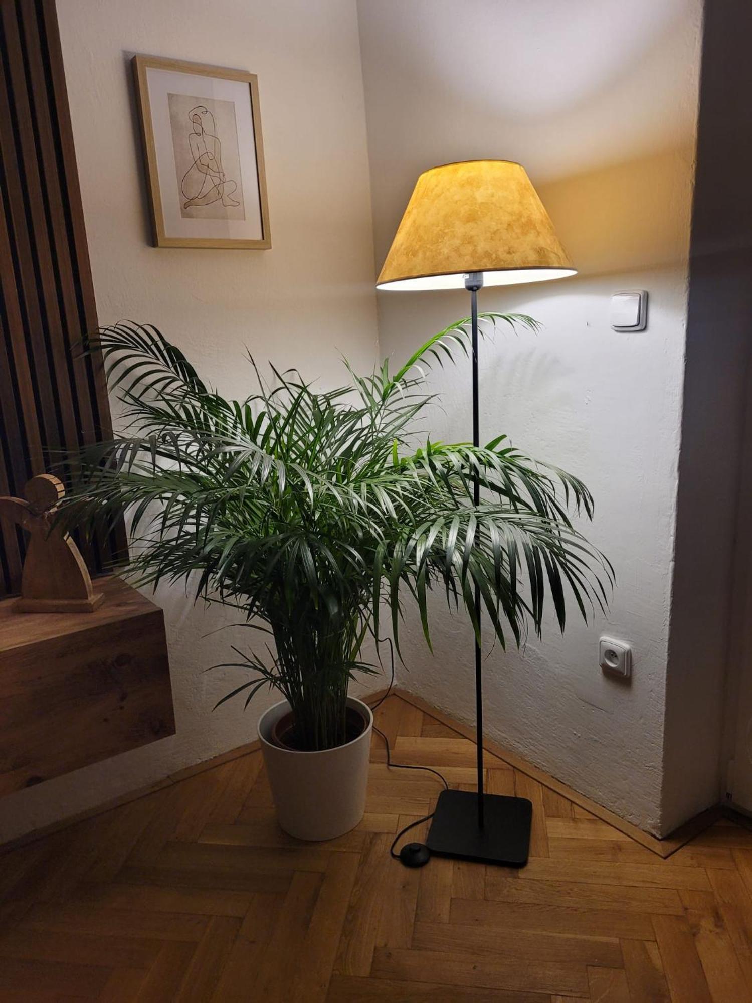 Novy Apartman Eva Jičín 外观 照片