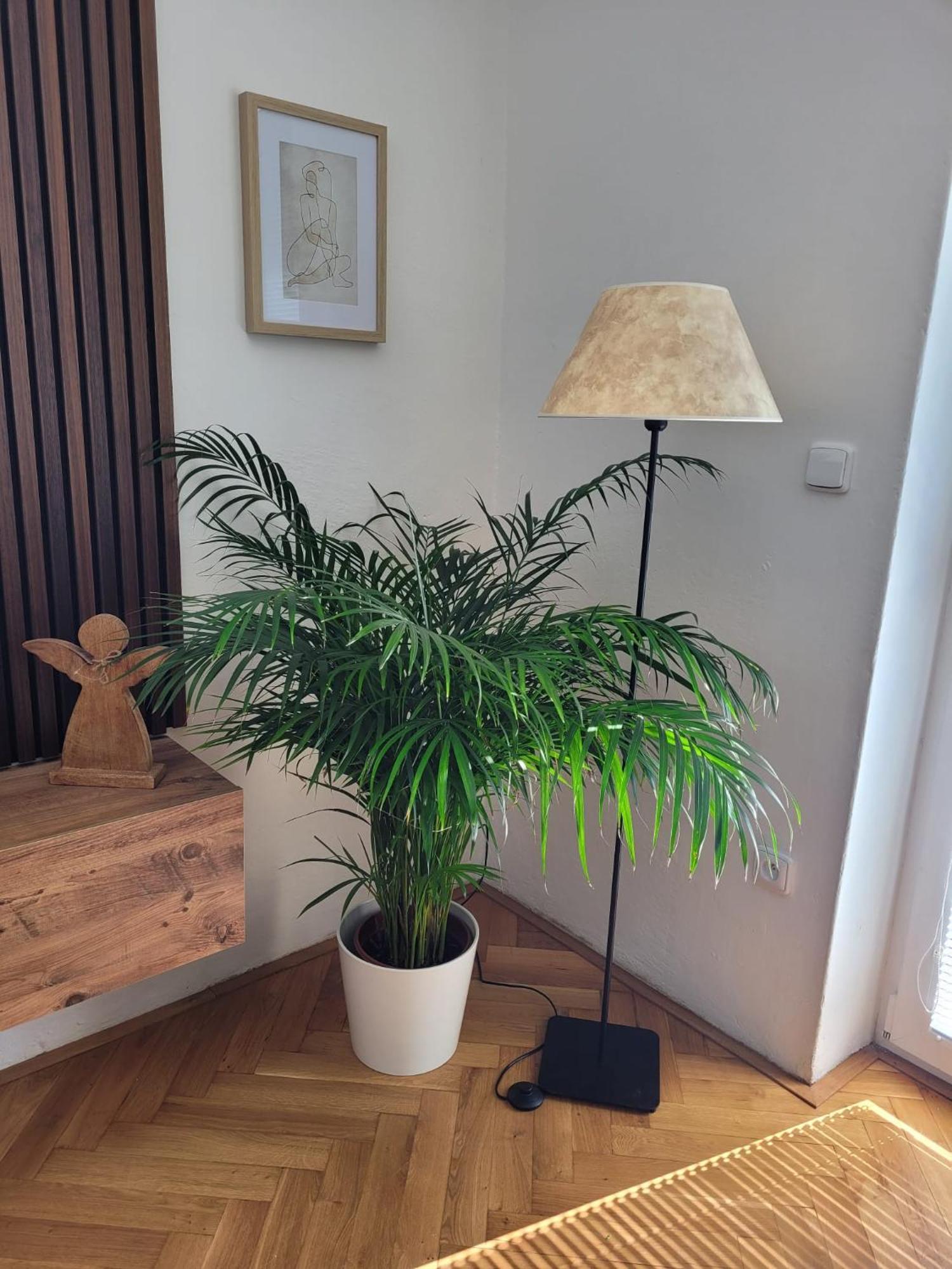 Novy Apartman Eva Jičín 外观 照片